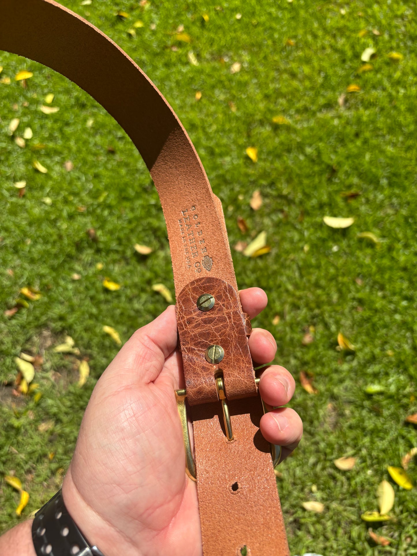 Buffalo Belt