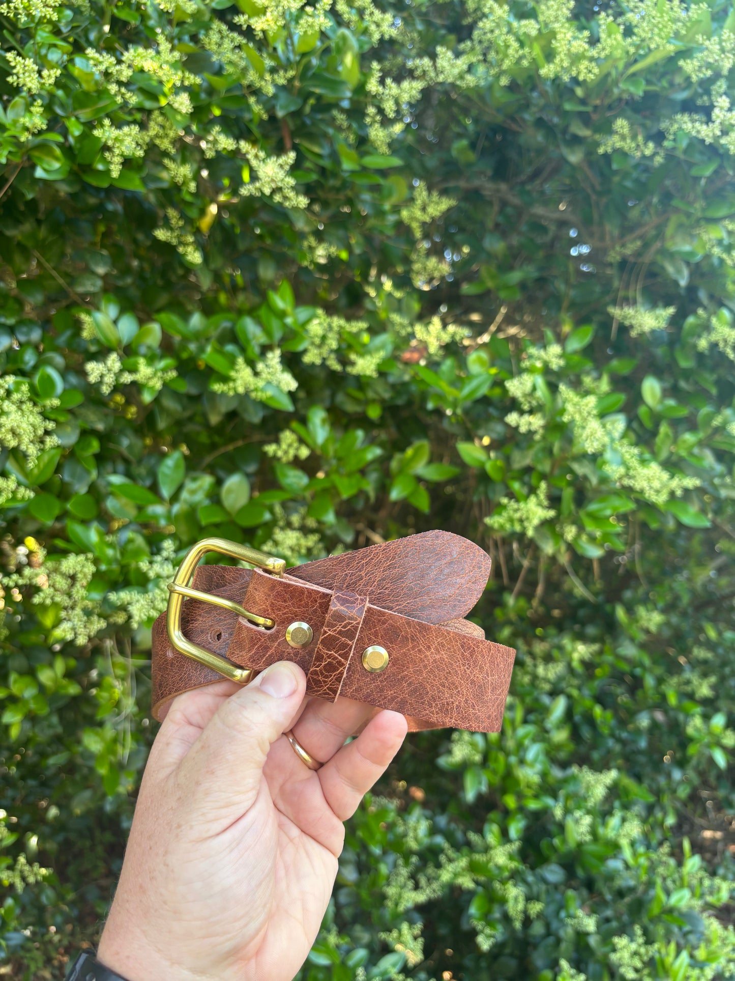 Buffalo Belt