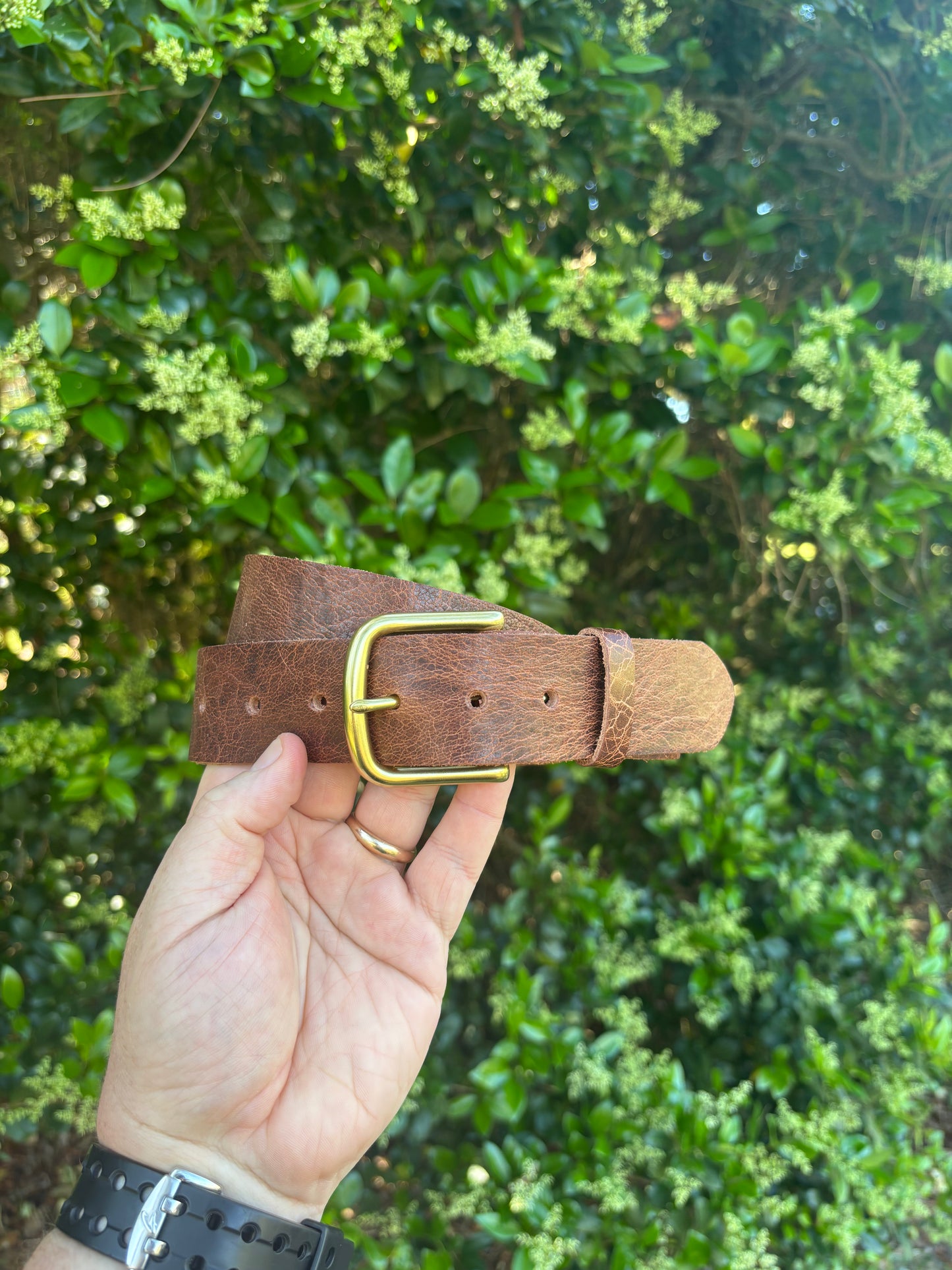 Buffalo Belt