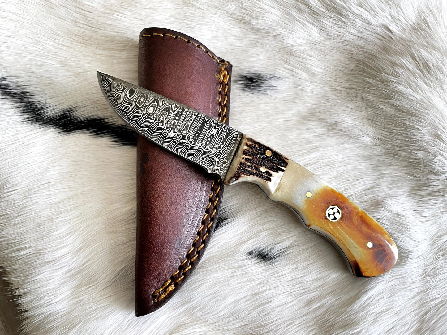 Damascus Steel Burnt Bone/Walnut