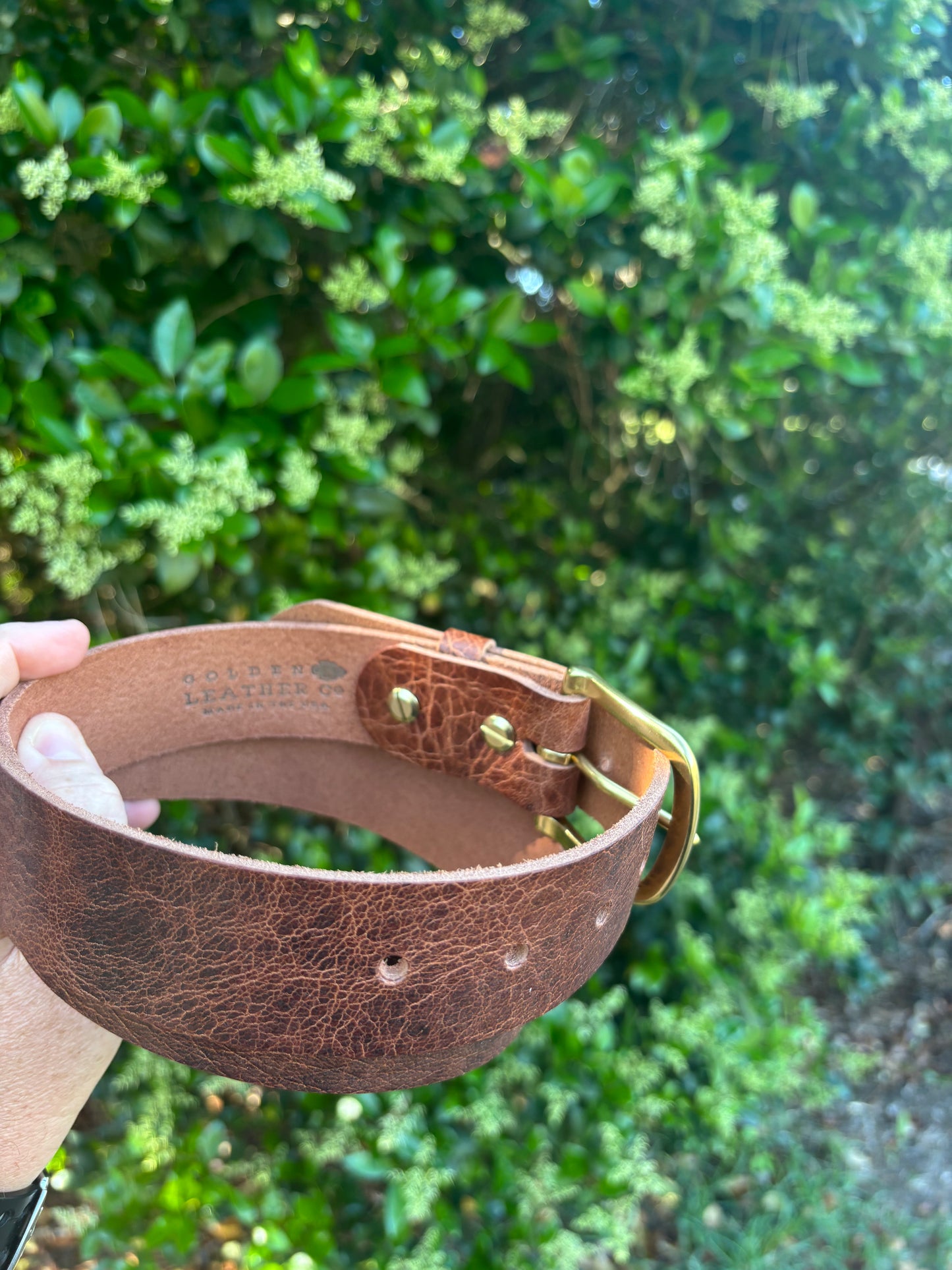 Buffalo Belt